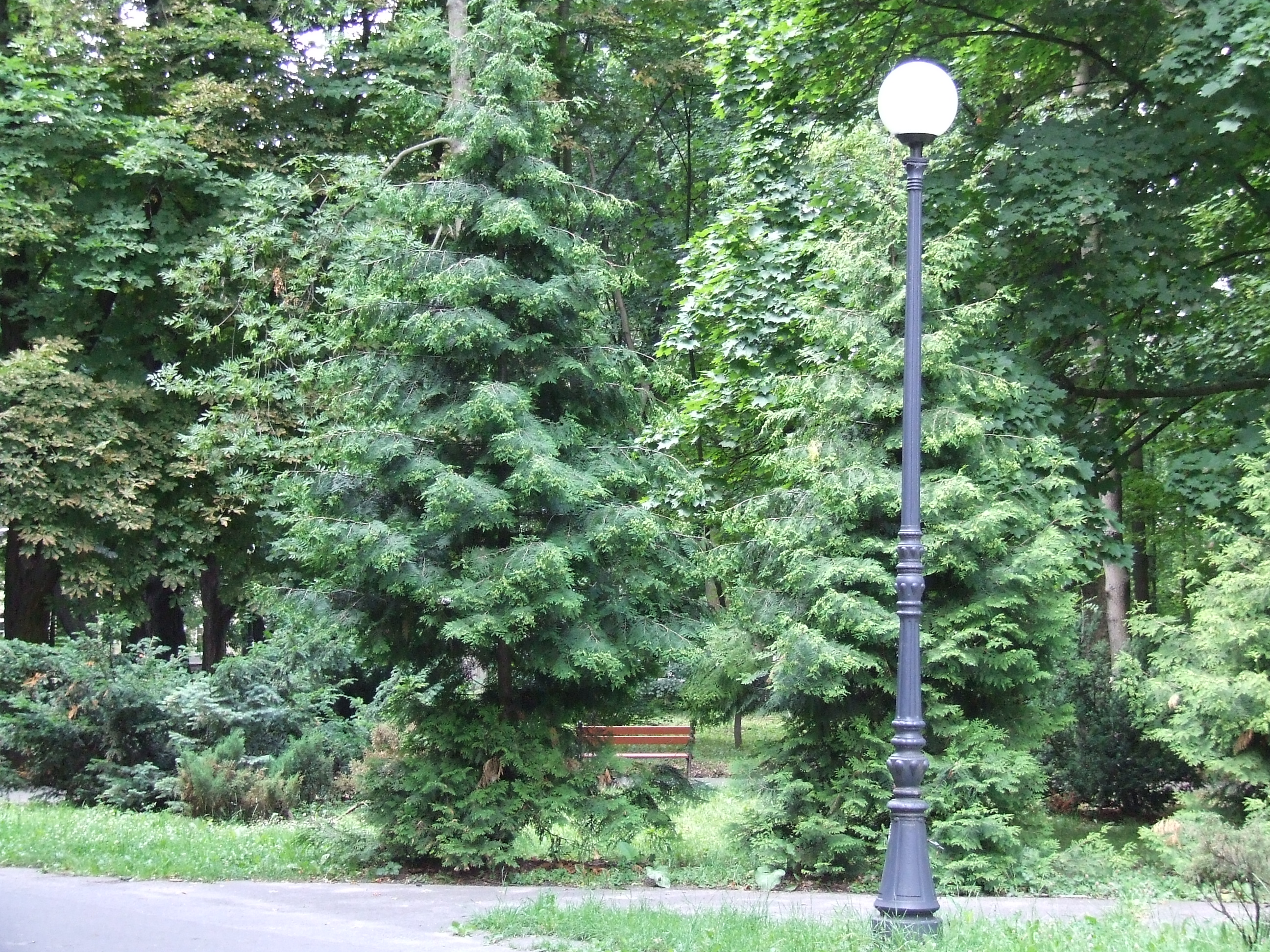 Park Aleksandria W Siedlcach park-aleksandria-w-siedlcach